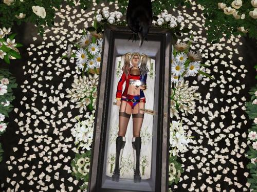 Web 59abb312d9859c3805000001