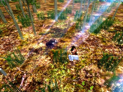 Web 582f37dff8a1ec59b6000001