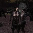 Thumb 5ec999a073ed17703efdbcb2