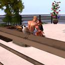 Thumb 5ecd85f8289dd21c4fa116f6