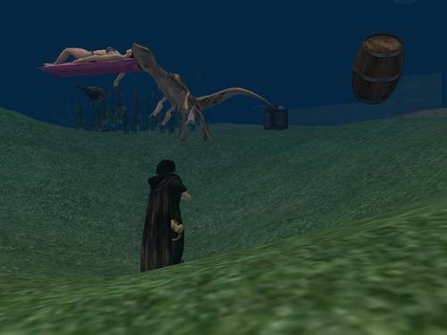 Web 5e873d4d289dd24efbff175d