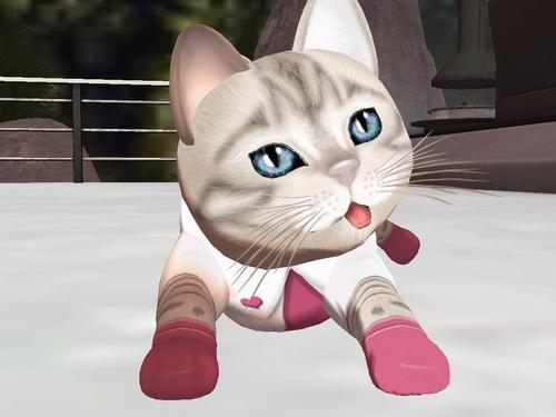 Web 5ee111f373ed173e75fdbcb2