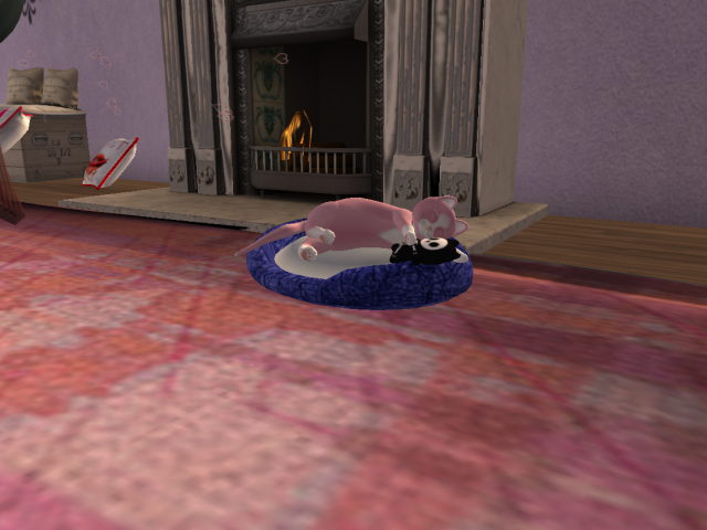 Original 5a6cfca6d9859c72e2000001