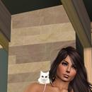 Thumb 5b177888289dd243a4000001