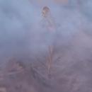 Thumb 5b1c333cd774f87b18000001