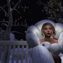 Thumb 63869c5615883b4317dad221