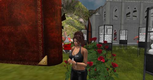 Web 5a663792289dd24663000001