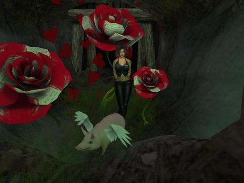 Web 5a6651bf73ed173018000001