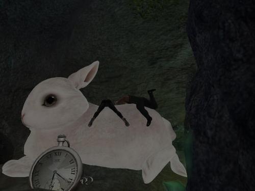 Web 5a66531273ed173d6c000001