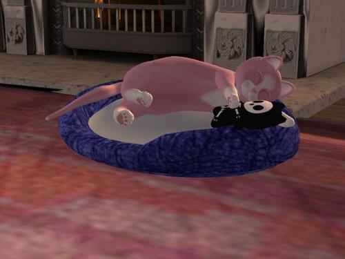 Web 5a6cfcdd289dd20c15000001