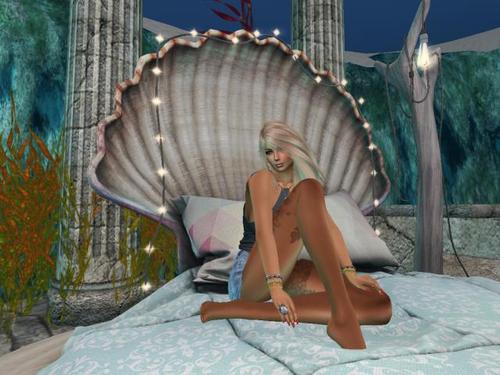 Web 5b1f916d73ed176872000001