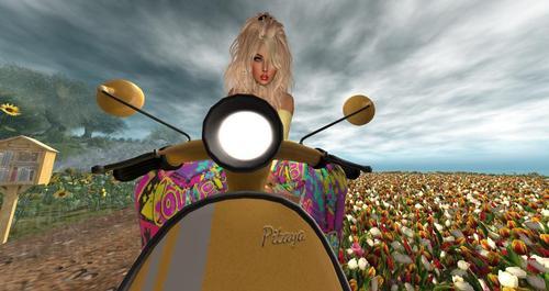 Web 60a68d5e9ca8da4186060d46