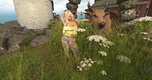 Web 60a6fd8311f23d4184ec93d3