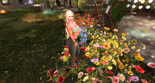 Web 642c75ab2b47cb0b2380c7c6