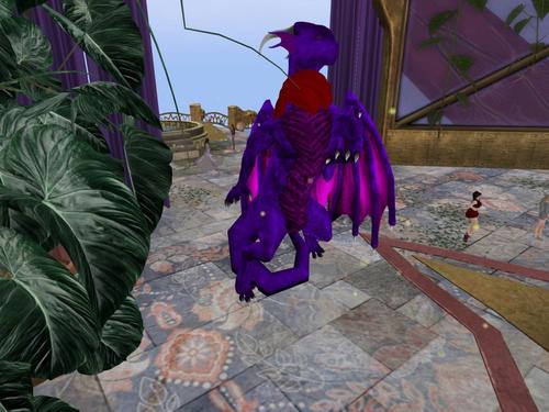 Web 5950608dd9859c1365000001