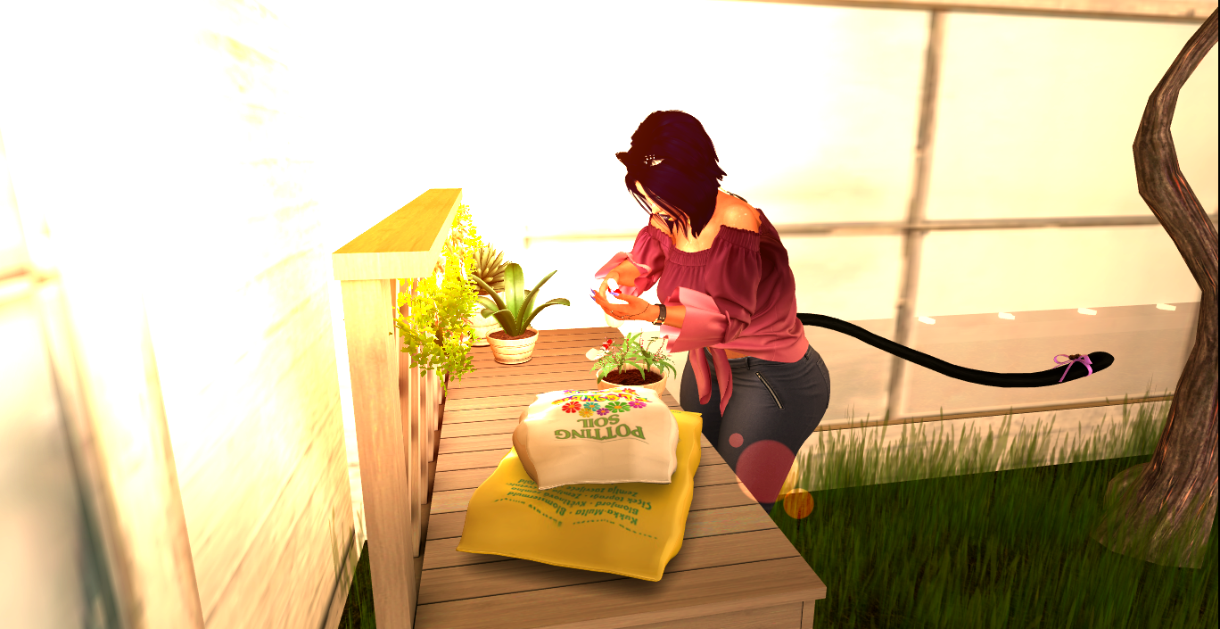 Original 5da00d9f289dd2347c000001