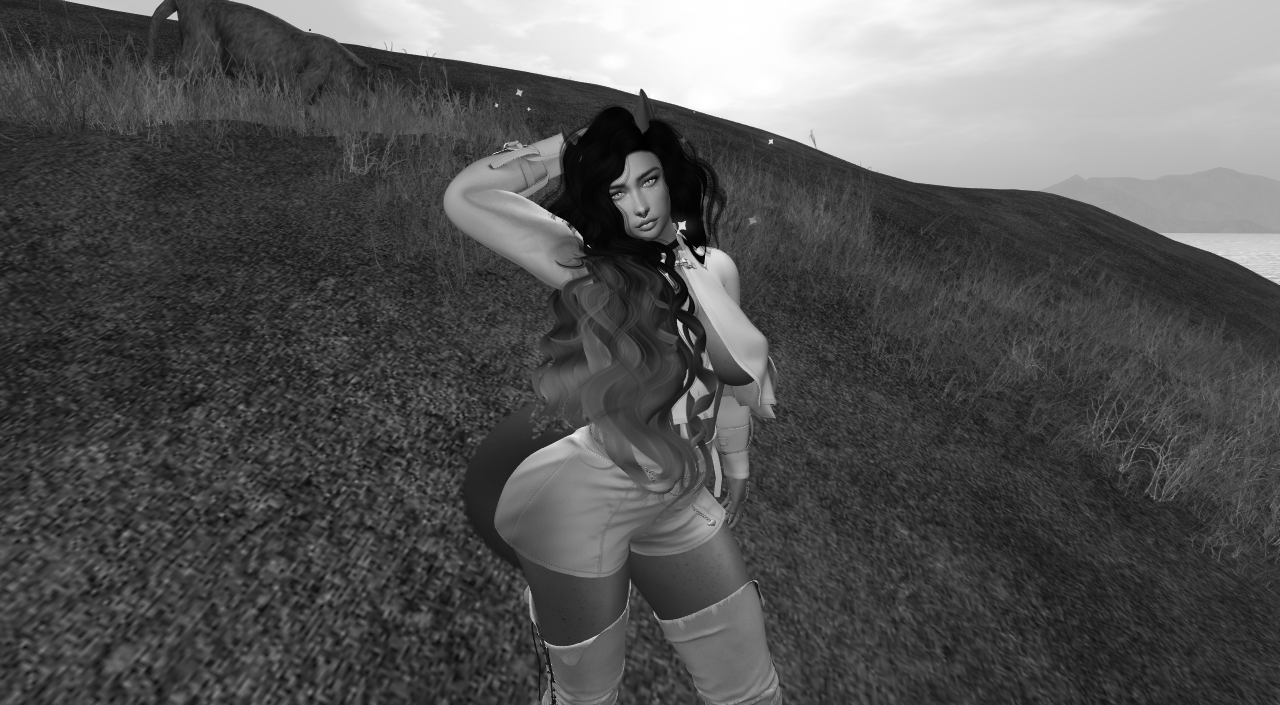 Original 5f324ea8d774f8374941162e