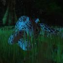 Thumb 5ab49bd473ed176d3c000001