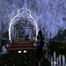 Thumb 5d4e4dcad774f84091000001