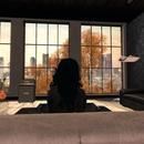 Thumb 5de5eb9cd9859c624266499d