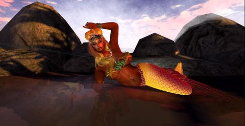 Web 5a06681d73ed1715b0000001