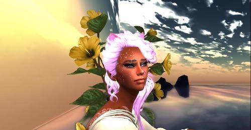 Web 5b0b9652289dd2605f000001