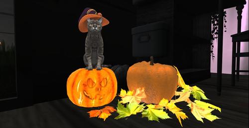 Web 5d9d7dd2d9859c57f9000001