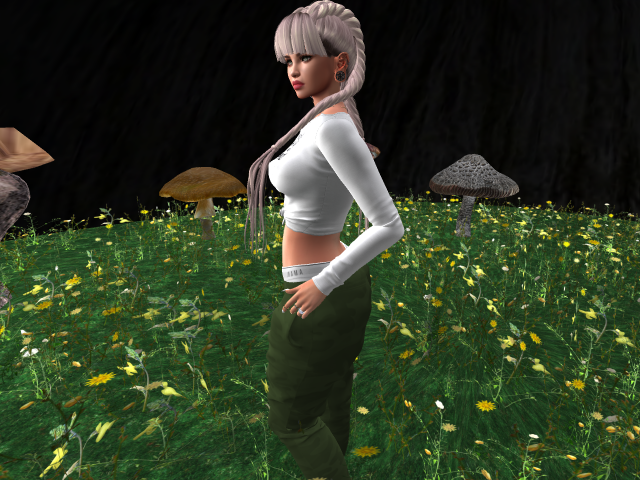 Original 5c840937d774f86fd3000001