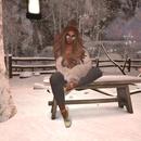 Thumb 5c3ce4d8289dd24dec000001