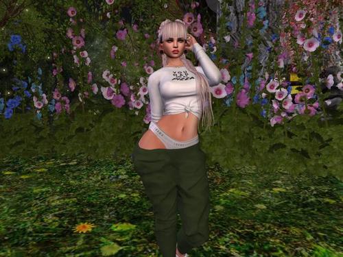 Web 5c8408ec73ed176709000001