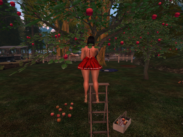 Original 5df038d6289dd25551326674