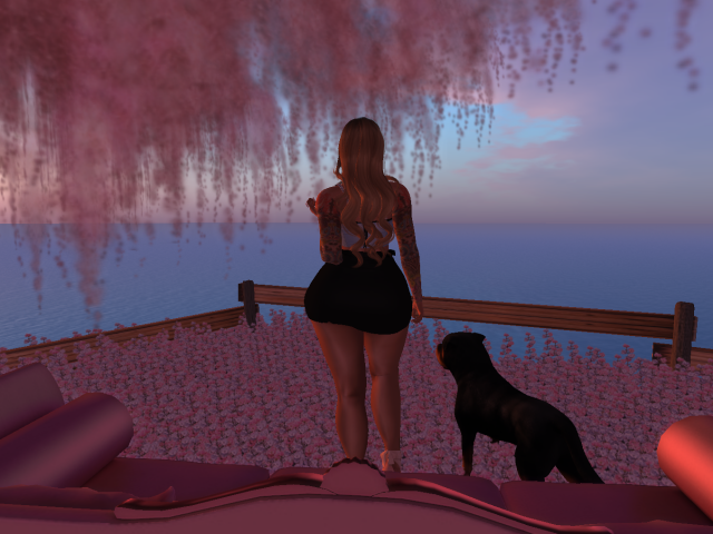 Original 5ec35bdb73ed1761528d5078