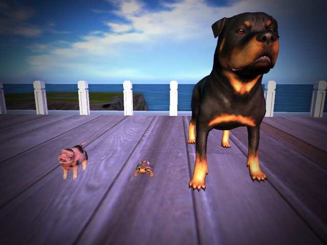 Original 5ecca819d774f832ef5d2740