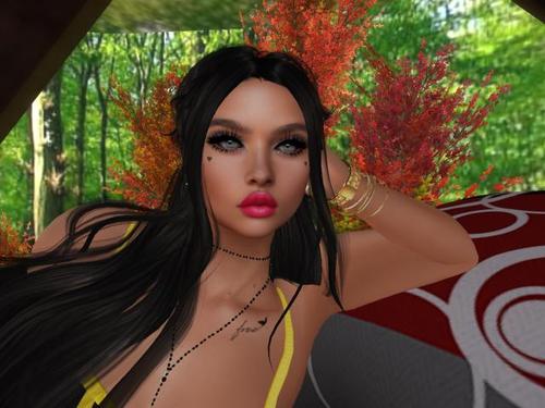 Web 5daa90eed774f81f6e000001