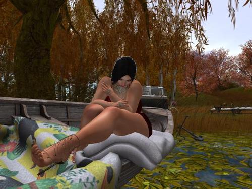 Web 5dc0da4173ed172e57000001