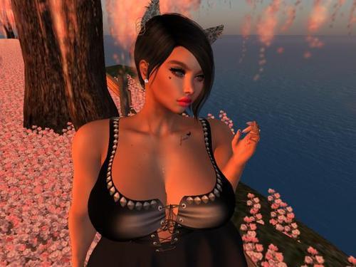 Web 5dd61fd2d9859c0e9b66499d