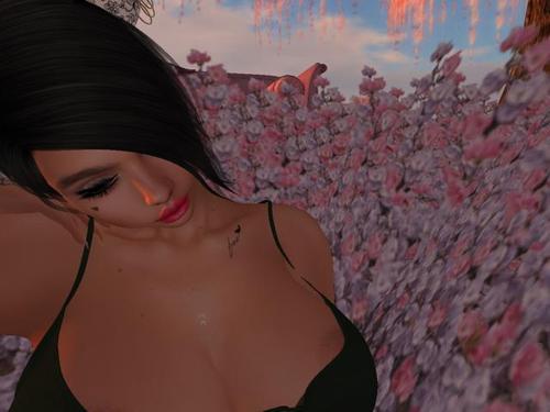 Web 5dd8be5673ed171915e6aadf