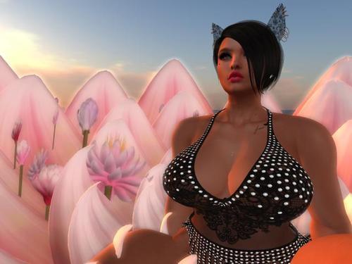 Web 5ddb59d8289dd27b7b93b7a7