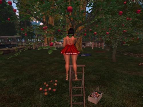 Web 5df038d6289dd25551326674