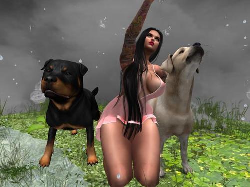 Web 5ead0417d774f840dd3b96f2