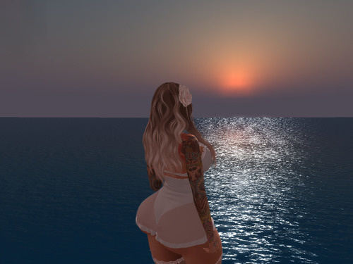 Web 63ec6dcbf9f61909e797ef0b