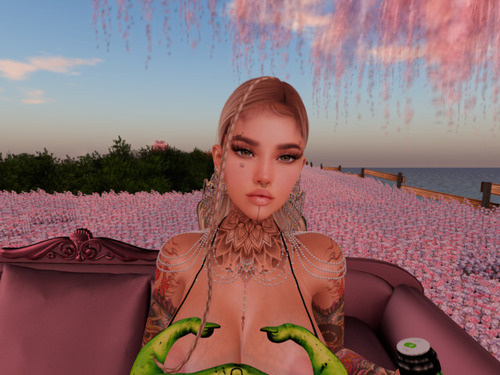 Web 6714a39b6f4f443588e39eb0