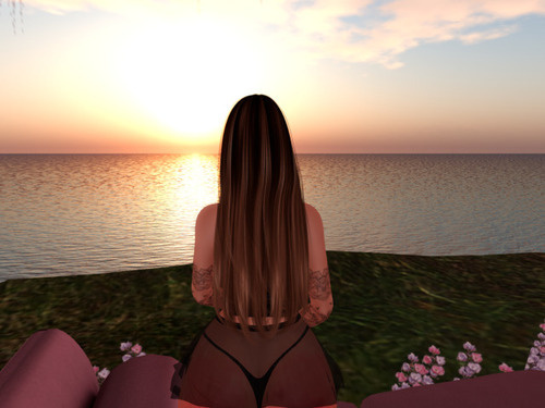 Web 6740287e63ba0e4ea020c66f