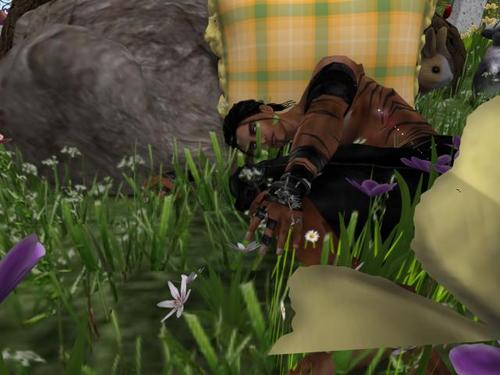 Web 5915e8a9d774f8617a000001