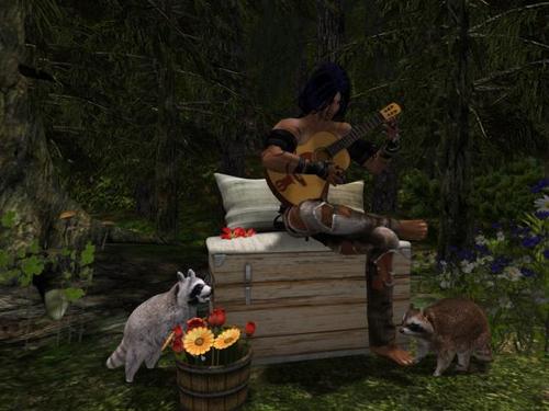 Web 593584ea289dd25b6e000001