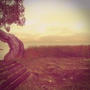 Thumb 58bc291cf8a1ec1c07000001