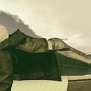 Thumb 592ca36bd9859c5db4000001