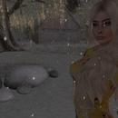 Thumb 5d16a583d774f81c97000001