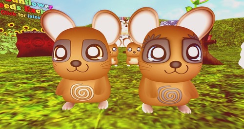 Web 58c2a21ff8a1ec7b0d000001