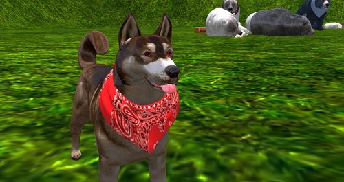 Web 58c34bb8f8a1ec1353000001